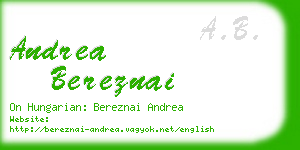 andrea bereznai business card